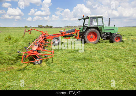 Red fieno turner dietro il trattore in prato verde nei Paesi Bassi Foto Stock