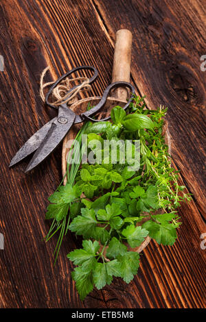 Varie aromatiche erbe culinarie. Il timo, la maggiorana, menta e basilico, erba cipollina e prezzemolo sul piatto di legno sul vecchio brown sfondo di legno Foto Stock