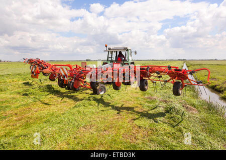 Red fieno turner dietro il trattore in prato verde nei Paesi Bassi Foto Stock