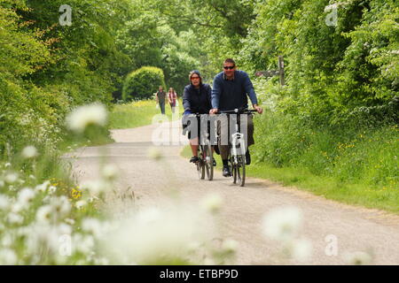 Ciclisti pedalano lungo il sentiero Monsal a Hassop nel Parco Nazionale di Peak District Derbyshire England Regno Unito GB UE Foto Stock