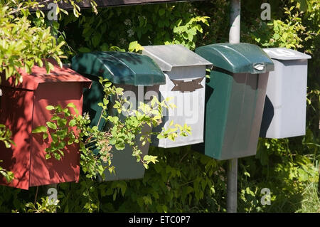 Cassette postali di plastica in verde, bianco e rosso, in una fila all'esterno nella luce del sole. Foto Stock