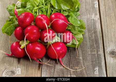 Close up appena raccolto ravanello nel mazzo, sul legno rustico. Foto Stock