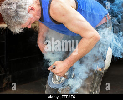 Masterizzazione maniscalco in un ferro di cavallo su zoccolo di un cavallo Clydesdale a Pollok Park, Glasgow, Scotland, Regno Unito Foto Stock