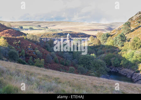 Cerca in valle a Craig Goch diga e serbatoio. Autunno cadono i colori ad albero. Foto Stock