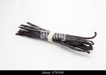 Un mazzetto di baccelli di vaniglia legata con lo spago isolato su bianco Foto Stock