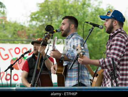 Leamington Spa Warwickshire, Inghilterra, Regno Unito. 13 giugno 2015. La follia fratelli, un locale a tre pezzi band che suonano musica bluegrass eseguire sul palco per spettacoli della camera della pompa giardini a Leamington pace Festival. Credito: Colin Underhill/Alamy Live News Foto Stock