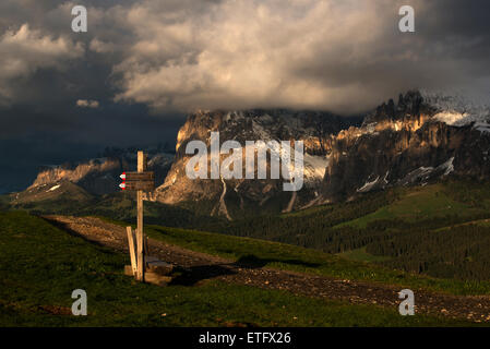 Monte Sassolungo e Sassopiatto in montagna alpenglow, luce, vista dall alpe di Siusi Alto Adige - Italia Foto Stock