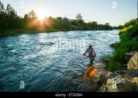 Uomo Barbuto di Pesca a Mosca Report di Pesca a sunrise in Arkansas River, Colorado Foto Stock