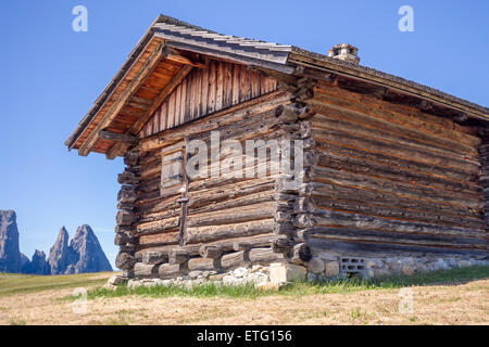 Monte Sciliar nelle Dolomiti Foto Stock