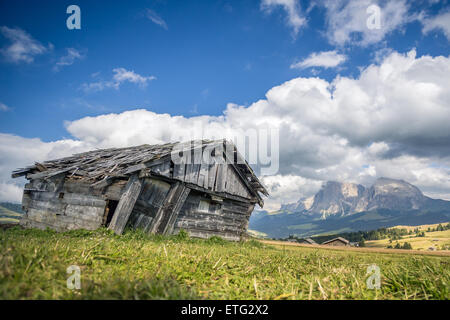 Monte Sciliar nelle Dolomiti Foto Stock