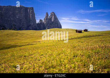 Monte Sciliar nelle Dolomiti Foto Stock