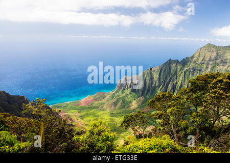 Vista dal Canyon Lookout, Waimea Canyon State Park, Kauai, Hawaii, STATI UNITI D'AMERICA Foto Stock