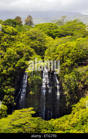 Cascate Opaekaa, Kauai, Hawaii, STATI UNITI D'AMERICA Foto Stock