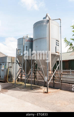 Silo di grano nel cortile di una fattoria azienda pasto di vitello Foto Stock