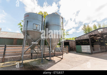 Silo di grano nel cortile di una fattoria azienda pasto di vitello Foto Stock