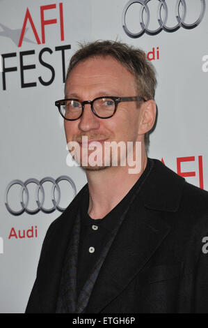 LOS ANGELES, CA - 4 Novembre 2011: David Thewlis alla premiere del suo nuovo film "La Signora", parte del 2011 AFI Fest, a Grauman's Chinese Theater di Hollywood. Novembre 4, 2011 a Los Angeles, CA Foto Stock