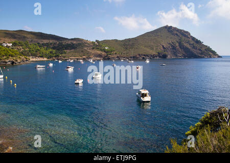 Cala del Calitjar (Calitjar spiaggia). Le rose. Foto Stock