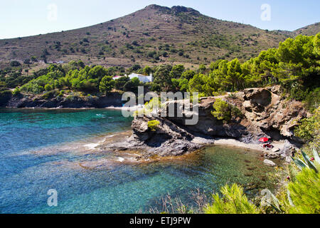 Cala del Calitjar (Calitjar spiaggia). Le rose. Foto Stock
