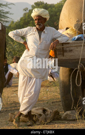 Rajasthani uomo vestito di bianco al Puskar Camel Fair, Rajasthan, India Foto Stock