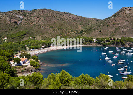 Montjoi bay. Le rose. Foto Stock