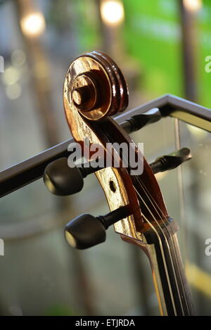 Chiuda il violino Foto Stock