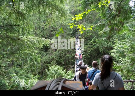 Lynn Canyon valle ponte sospeso Foto Stock