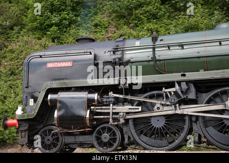 Dawlish Warren, UK. 14 Giugno, 2015. Britannia,Torbay Express treno a vapore passa attraverso Dawlish Warren. Credito: Keith Larby/Alamy Live News Foto Stock