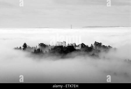 Forest peeking sopra San Francisco Bay Area di strato di nebbia Foto Stock