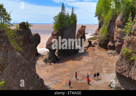 Baia di Fundy Hopewell Rocks Beach a bassa marea con i turisti in spiaggia a piedi, New Brunswick, Canada Foto Stock