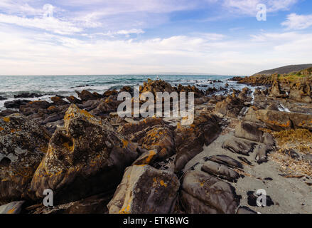 Spiaggia a Kangaroo Island, SA, Australia Foto Stock