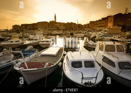 Una vista delle barche ormeggiate nel porto e la città con la Santa Eufemia torre campanaria al tramonto a Rovigno Croazia. Foto Stock