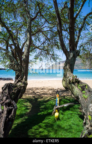 Il turista a godere di standup paddleboards, Kalapaki Bay, Kaua'i, Hawaii, STATI UNITI D'AMERICA Foto Stock