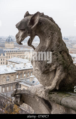 Gargoyle della cattedrale di Notre Dame Foto Stock