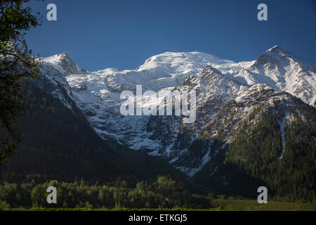 Il massiccio del Monte Bianco e il Ghiacciaio Tacconaz - Visto da Les Bossons in Chamonix Francia Foto Stock