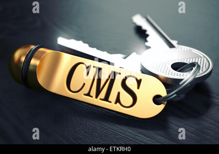 CMS scritto sul portachiavi dorato. Foto Stock