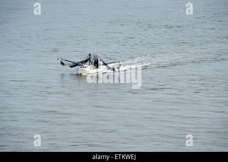 Commerciale bianca barca da pesca con reti da nero nel sud-est USA Foto Stock