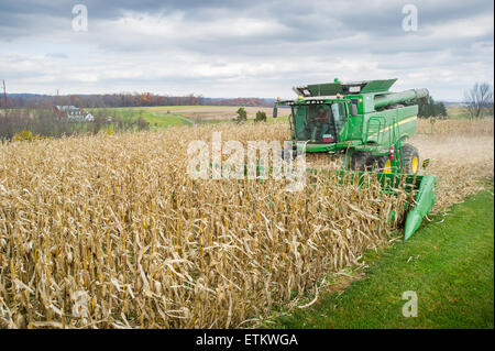 Combinare la raccolta del mais in Jarrettsville, Maryland Foto Stock
