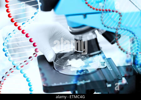 Stretta di mano con microscopio e campione di polvere Foto Stock