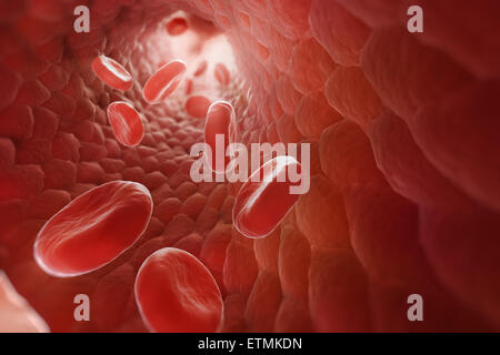 Stilizzata illustrazione che mostra le cellule rosse del sangue che fluisce attraverso il flusso sanguigno. Foto Stock