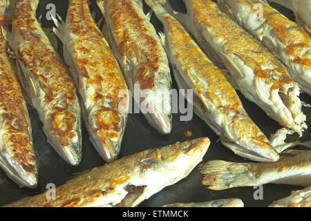 Pesce persico alla griglia Foto Stock