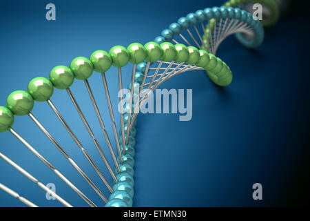 Illustrazione stilizzata di filamenti di DNA umano, acido deossiribonucleico. Foto Stock