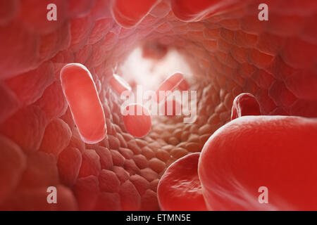 Stilizzata illustrazione che mostra le cellule rosse del sangue che fluisce attraverso il flusso sanguigno. Foto Stock