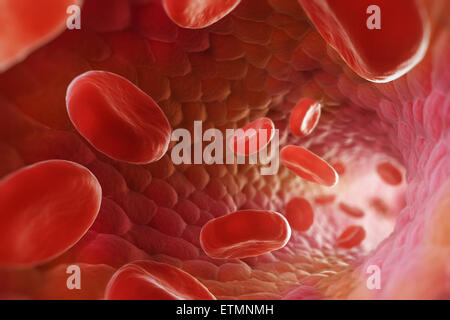 Stilizzata illustrazione che mostra le cellule rosse del sangue che fluisce attraverso il flusso sanguigno. Foto Stock