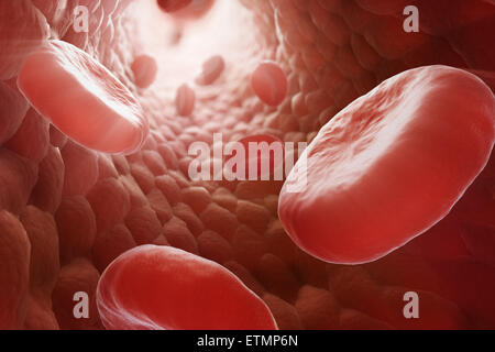 Stilizzata illustrazione che mostra le cellule rosse del sangue che fluisce attraverso il flusso sanguigno. Foto Stock