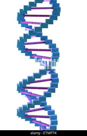 Illustrazione stilizzata di filamenti di DNA umano, acido deossiribonucleico. Foto Stock