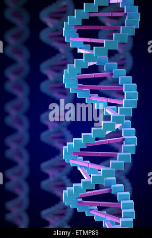 Illustrazione stilizzata di filamenti di DNA umano, acido deossiribonucleico. Foto Stock