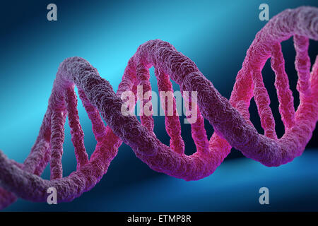 Illustrazione stilizzata di filamenti di DNA umano, acido deossiribonucleico. Foto Stock