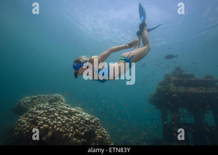 La donna lo snorkeling ed esplorando un tempio sommerso e barriera corallina, Bali, Indonesia Foto Stock