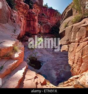 Vista dal basso del Wilson Canyon Sedona, in Arizona, Stati Uniti d'America Foto Stock