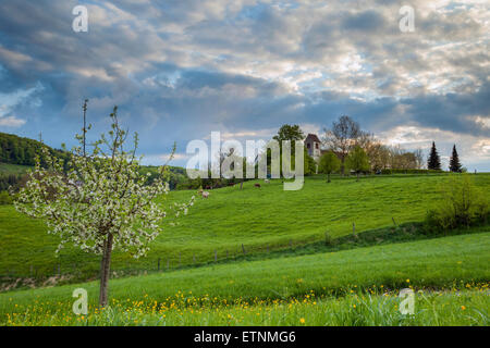 Mattina di primavera nel villaggio di Ziefen, Svizzera. Foto Stock